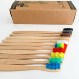 Bamboo Toothbrush for Adults - Set of 10