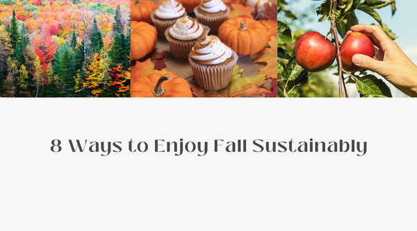 8 Ways to Enjoy Fall Sustainably