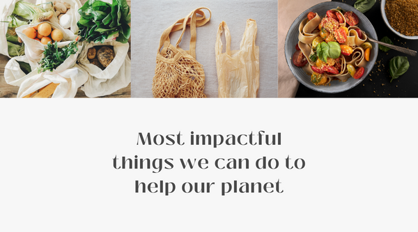 Most impactful things we can do to help our planet