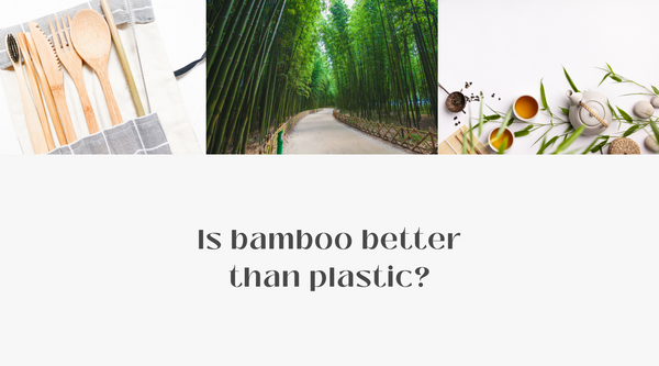 Is bamboo better than plastic?