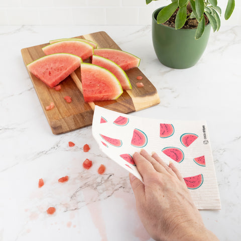 Watermelon Swedish Dishcloths - Set of 6