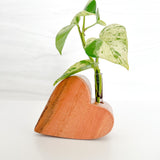 Handmade Wooden Heart Plant Holder