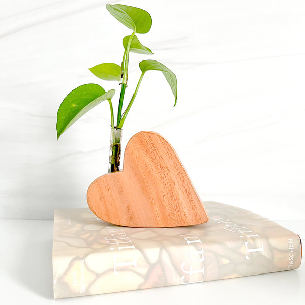 Handmade Wooden Heart Plant Holder