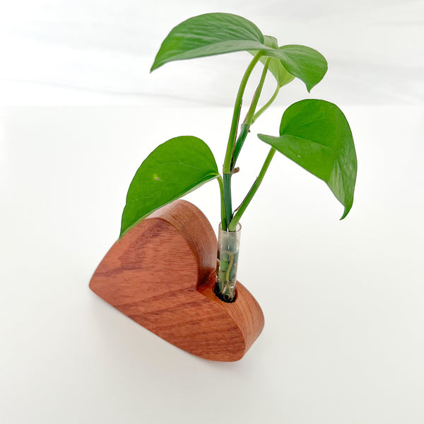 Handmade Wooden Heart Plant Holder